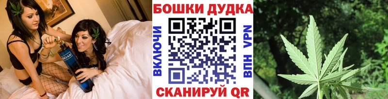 МЕФ Онега