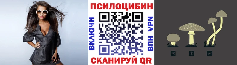 Галлюциногенные грибы Cubensis  как найти   Онега 
